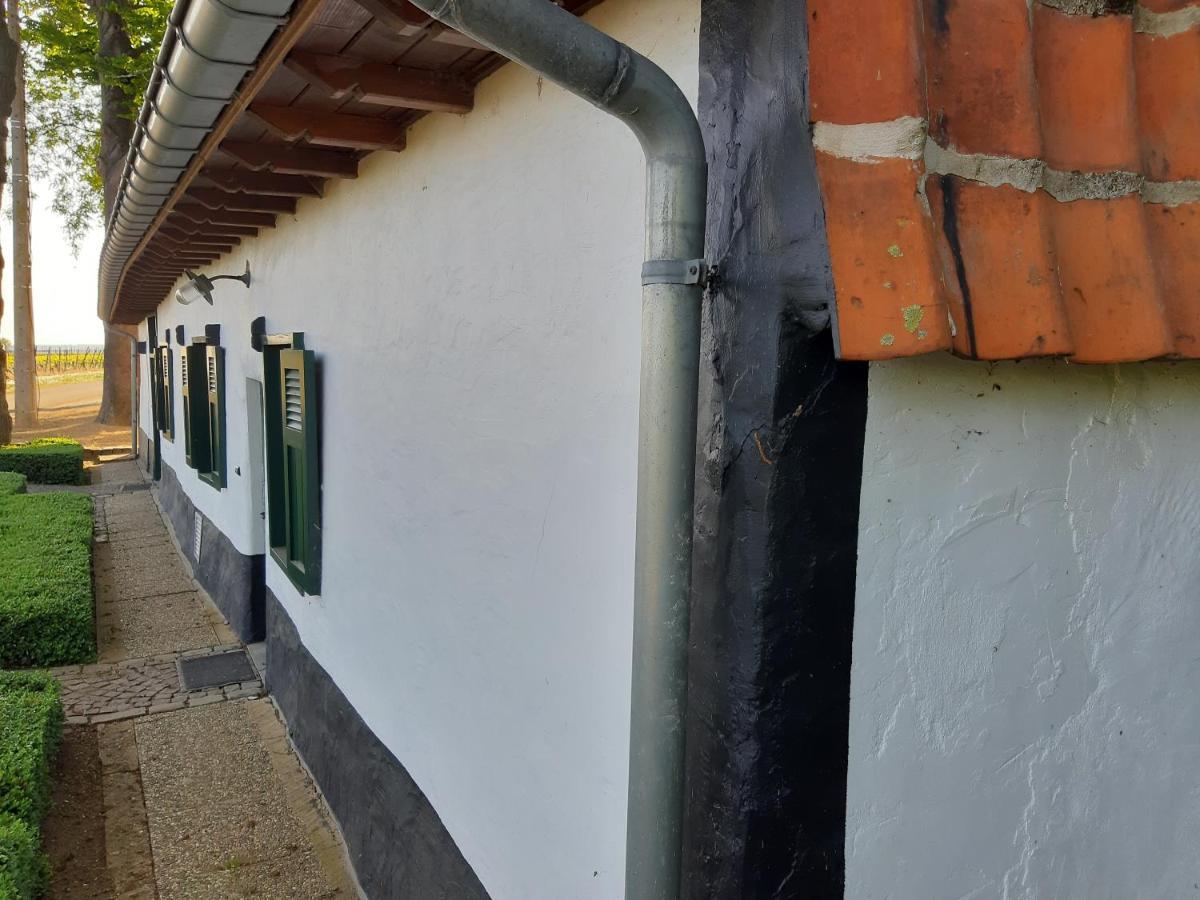Lemen Houwaart Holiday home Tielt-Winge